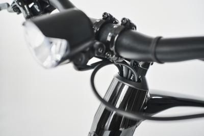 Diamant 365 HCH M Tiefschwarz Produktbild 9