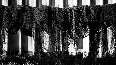 Bontrager Flaschenhalter Bontrager Elite Ocean Recycled Plas Produktbild 4