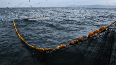 Bontrager Griff Bontrager SE Elite Ocean Recyc. Plastic Muls Produktbild 7