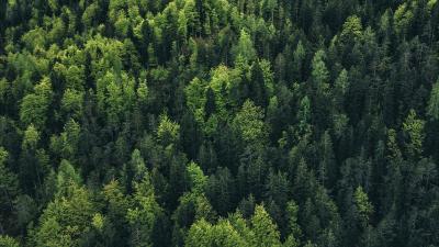 Trek Shirt Trek Evoke Tech Tee Youth Medium Black Produktbild 13