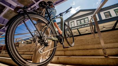 Trek FX+ 7 MS EU L Lichen Green Gloss Produktbild 6