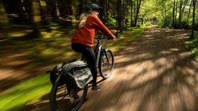 Trek Powerfly FS4EQ EU M 29 Mercury/Dark Web Produktbild 6