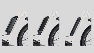 Diamant Zing Trip Core MS S Baumwollweiss Metallic 725Wh Produktbild 6