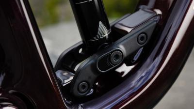 Trek Fuel MX 9.9 X0 AXS XXL Gloss Chameleon Green /Matt Produktbild 2