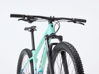Trek Marlin 5 XXL 29 Miami Green/Dark Aquatic Fade Produktbild 9