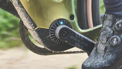 Trek Checkpoint+ SL6AXS EU S Fjord Blue/Cobalt Blue Produktbild 11