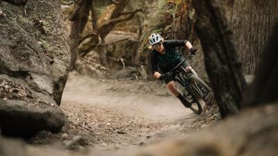 Bontrager Sattelst&uuml;tze BNT Line Elite Dropper 100 Federw. 34 Produktbild 9