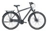 FALTER C 4.0 PLUS cool grey 65 cm