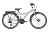 FALTER FX 421 PRO ice grey 34 cm