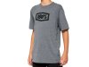 100% Icon Youth t-shirt  KS Heather Grey