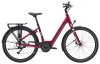 Trek Verve+ 1 LS L Matte Rage Red