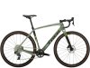 Trek Checkpoint SL 6 AXS 54 Lichen Green